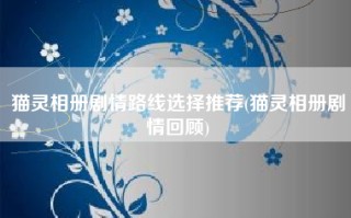 猫灵相册剧情路线选择推荐(猫灵相册剧情回顾)