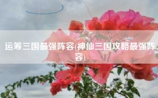 运筹三国最强阵容(神仙三国攻略最强阵容)