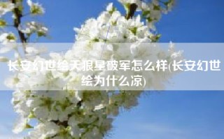 长安幻世绘天狼星破军怎么样(长安幻世绘为什么凉)