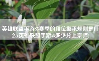 英雄联盟手游S5赛季的段位继承规则是什么(英雄联盟手游s5多少分上宗师)