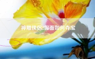 神雕侠侣2假面如何夺宝