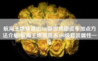 航海王燃烧意志100新世界撒谎布加点方法介绍(航海王燃烧意志100级套装属性一览)