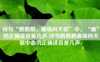 诗句“鹅鹅鹅，曲项向天歌”中，“曲”的正确读音是几声(诗句鹅鹅鹅曲项向天歌中曲的正确读音是几声)