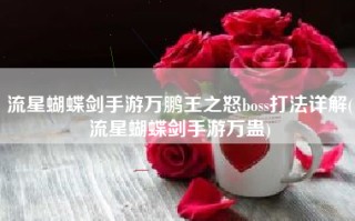流星蝴蝶剑手游万鹏王之怒boss打法详解(流星蝴蝶剑手游万蛊)