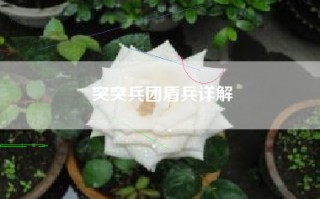 突突兵团盾兵详解