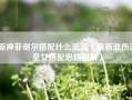 原神菲谢尔搭配什么流派（最新混伤流皇女搭配思路讲解）