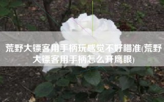 荒野大镖客用手柄玩感觉不好瞄准(荒野大镖客用手柄怎么开鹰眼)