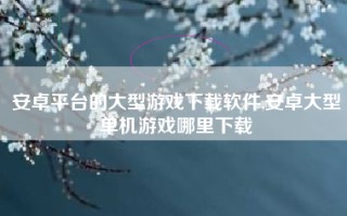 安卓平台的大型游戏下载软件,安卓大型单机游戏哪里下载