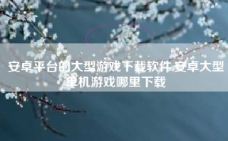 安卓平台的大型游戏下载软件,安卓大型单机游戏哪里下载