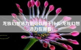 龙族幻想活力值可以用于什么(龙族幻想活力在哪看)