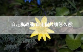 自走棋战绩(自走棋战绩怎么看)