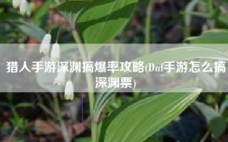 猎人手游深渊搞爆率攻略(Dnf手游怎么搞深渊票)