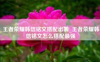 王者荣耀韩信铭文搭配出装_王者荣耀韩信铭文怎么搭配最强