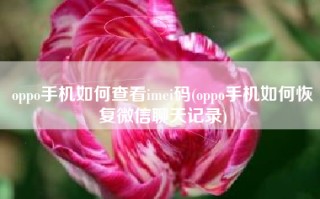 oppo手机如何查看imei码(oppo手机如何恢复微信聊天记录)