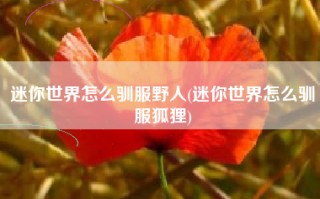 迷你世界怎么驯服野人(迷你世界怎么驯服狐狸)