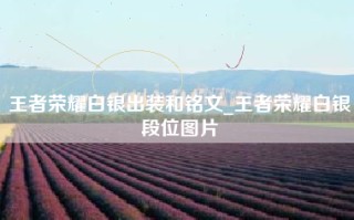 王者荣耀白银出装和铭文_王者荣耀白银段位图片