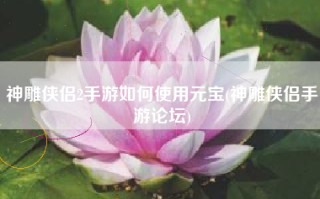 神雕侠侣2手游如何使用元宝(神雕侠侣手游论坛)