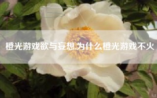 橙光游戏欲与妄想,为什么橙光游戏不火