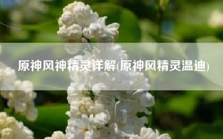 原神风神精灵详解(原神风精灵温迪)