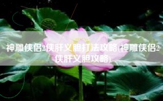 神雕侠侣2侠肝义胆打法攻略(神雕侠侣2侠肝义胆攻略)
