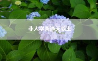 非人学园通天教主