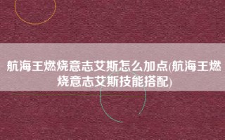 航海王燃烧意志艾斯怎么加点(航海王燃烧意志艾斯技能搭配)