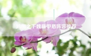 鸿图之下魏藤甲盾阵容推荐