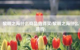 黎明之海什么商品值得买(黎明之海什么游戏)