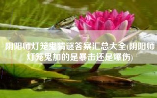 阴阳师灯笼鬼猜谜答案汇总大全(阴阳师灯笼鬼加的是暴击还是爆伤)