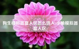 狗生模拟器富人区怎么进入(小偷模拟器富人区)