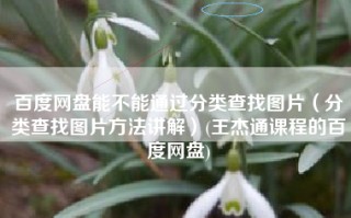 百度网盘能不能通过分类查找图片（分类查找图片方法讲解）(王杰通课程的百度网盘)