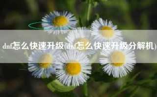 dnf怎么快速升级(dnf怎么快速升级分解机)