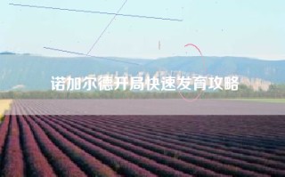 诺加尔德开局快速发育攻略