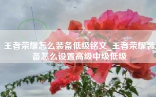 王者荣耀怎么装备低级铭文_王者荣耀装备怎么设置高级中级低级