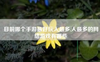 目前哪个手游最好玩人最多,人最多的网络游戏有哪些