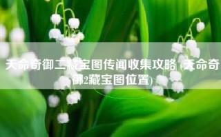 天命奇御二藏宝图传闻收集攻略 (天命奇御2藏宝图位置)