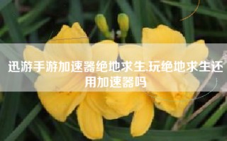 迅游手游加速器绝地求生,玩绝地求生还用加速器吗