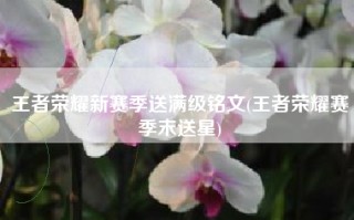 王者荣耀新赛季送满级铭文(王者荣耀赛季末送星)