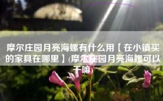 摩尔庄园月亮海螺有什么用【在小镇买的家具在哪里】(摩尔庄园月亮海螺可以干嘛)