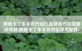 跑跑卡丁车手游烈焰红旗获得方法及测评攻略(跑跑卡丁车手游烈焰祥龙配件)