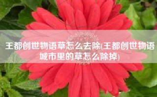 王都创世物语草怎么去除(王都创世物语城市里的草怎么除掉)
