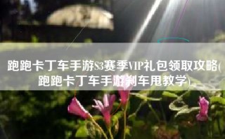 跑跑卡丁车手游S3赛季VIP礼包领取攻略(跑跑卡丁车手游刹车甩教学)