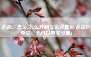 高级巡查员1怎么升到专家巡查员(高级巡查员一天可以查多少单)