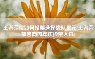 王者荣耀如何投票选择战队星元(王者荣耀官网周年庆投票入口)