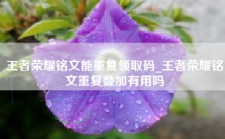 王者荣耀铭文能重复领取码_王者荣耀铭文重复叠加有用吗