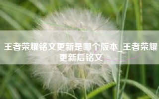 王者荣耀铭文更新是哪个版本_王者荣耀更新后铭文