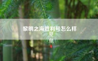 黎明之海胜利号怎么样