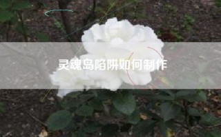 灵魂岛陷阱如何制作