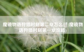 魔镜物语狩猎时刻第二章怎么过(魔镜物语狩猎时刻第一章攻略)