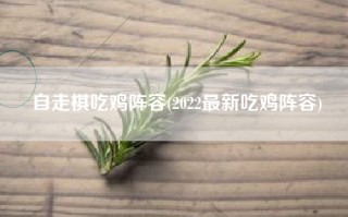 自走棋吃鸡阵容(2022最新吃鸡阵容)